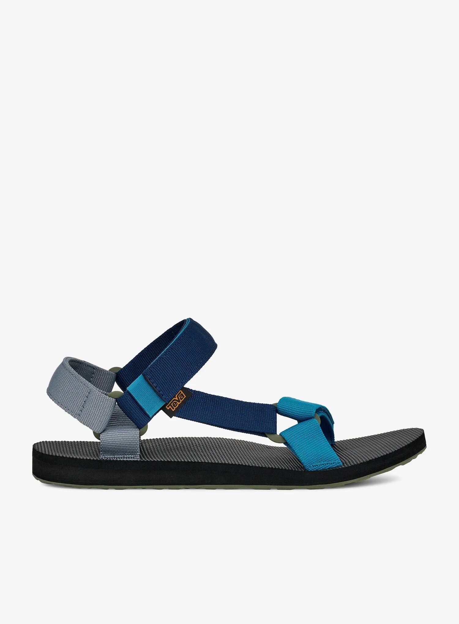 TEVA picture