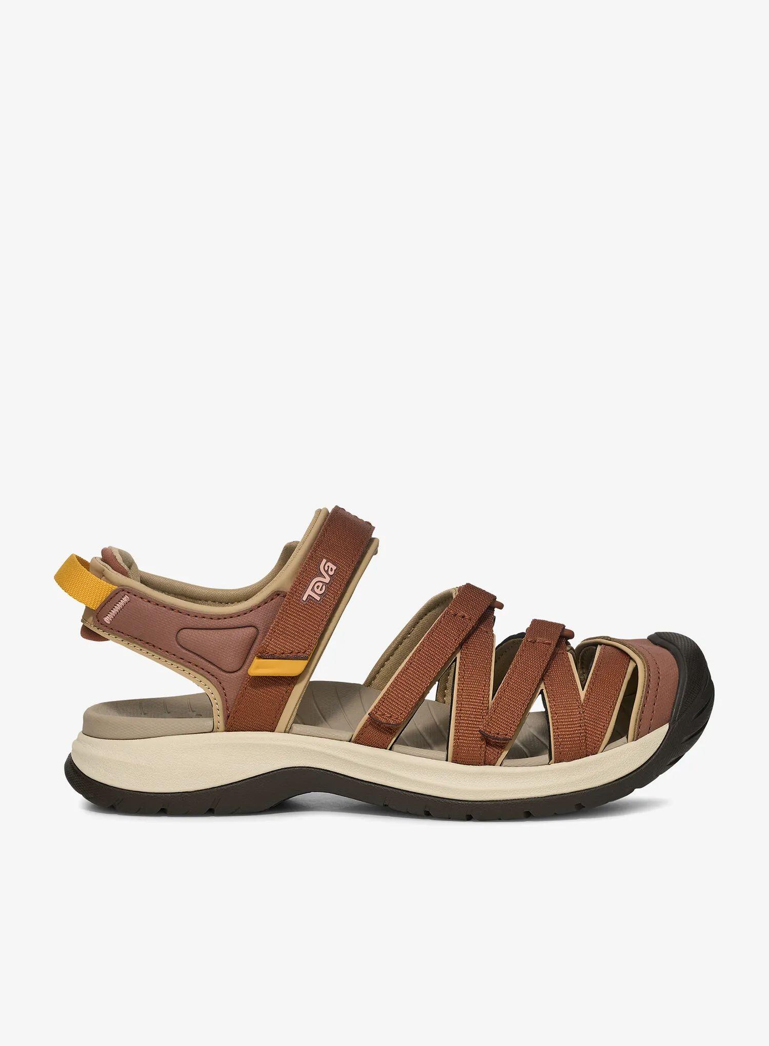 TEVA picture