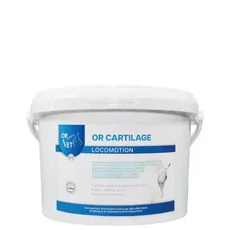 OR CARTILAGE – Формула без MSM