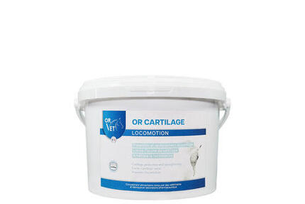 OR CARTILAGE - Formule sans MSM