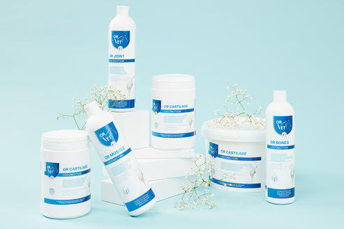 OR CARTILAGE - Formule sans MSM 2/2