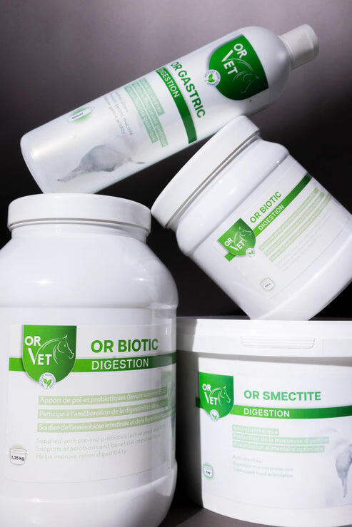 OR GASTRIC 2/2