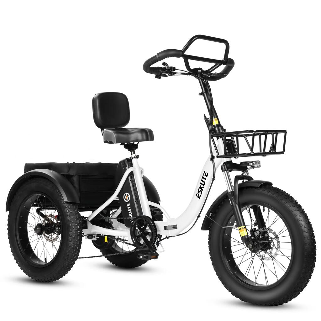 ESKUTE T302 PRO 20" Cargo E-Bike 250W Motor 48V 20.8Ah Battery