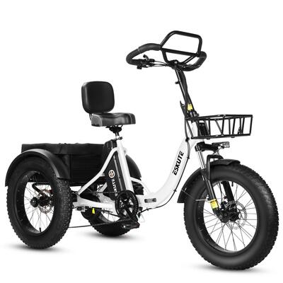 Eskute t302 pro 20" cargo e-bike 250w motor 48v 20.8ah accu