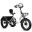 ESKUTE T302 PRO Bicicletă electrică cargo 20" Motor 250W Baterie 48V 20.8Ah