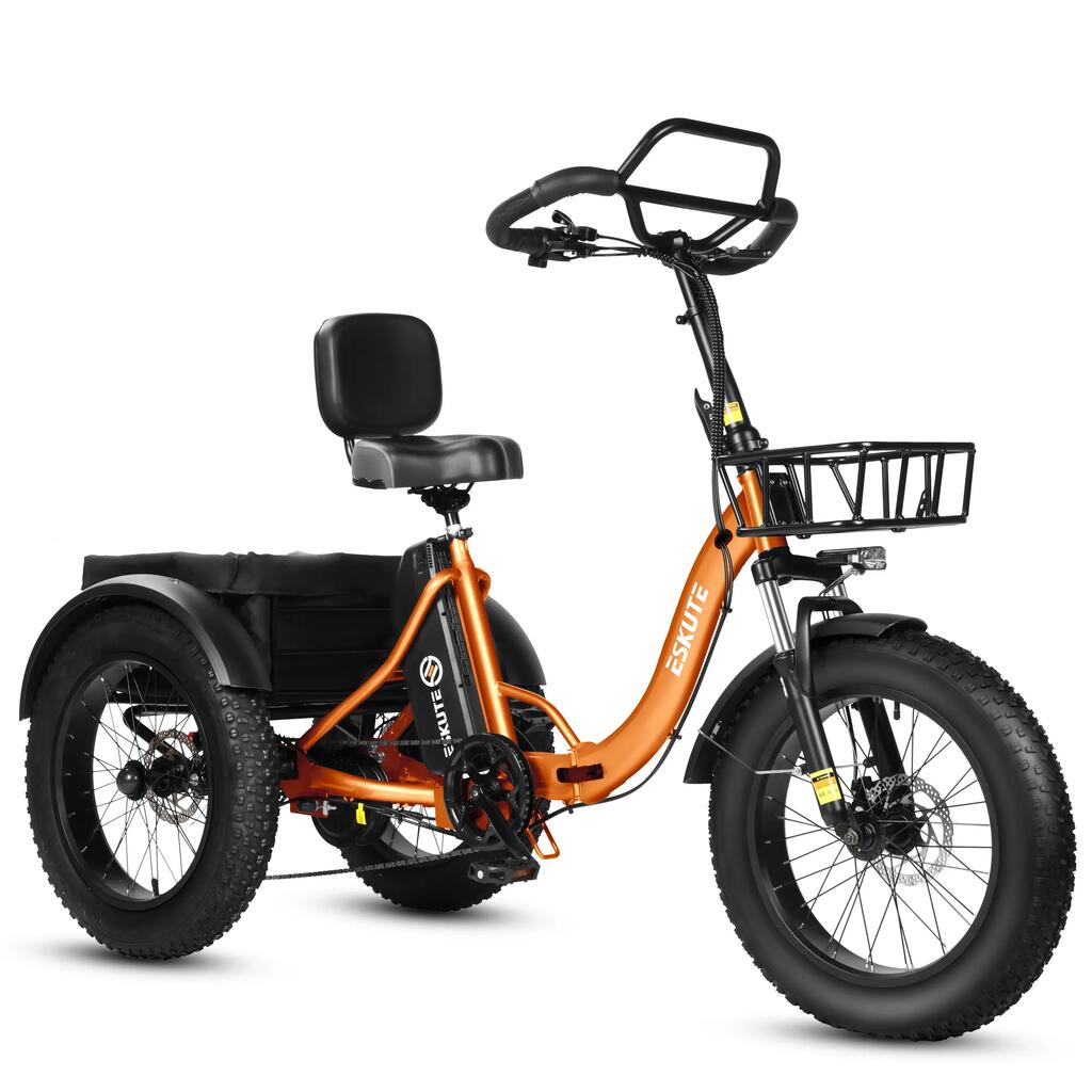 ESKUTE T302 PRO 20" Cargo E-Bike 250W Motor 48V 20.8Ah Battery