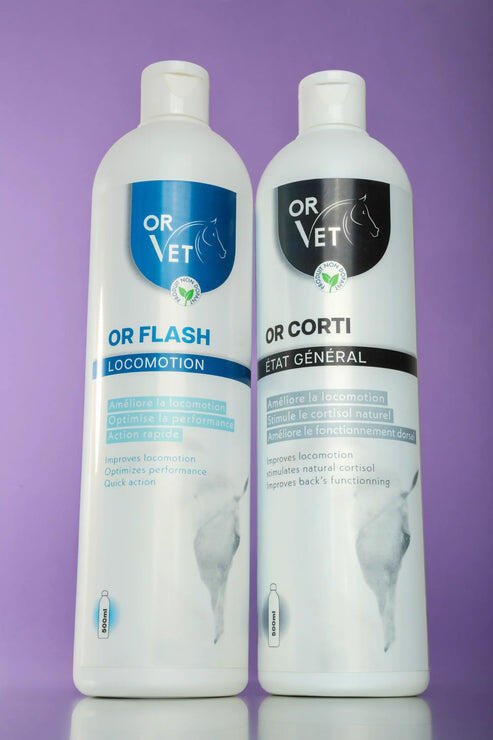 OR CORTI 3/3