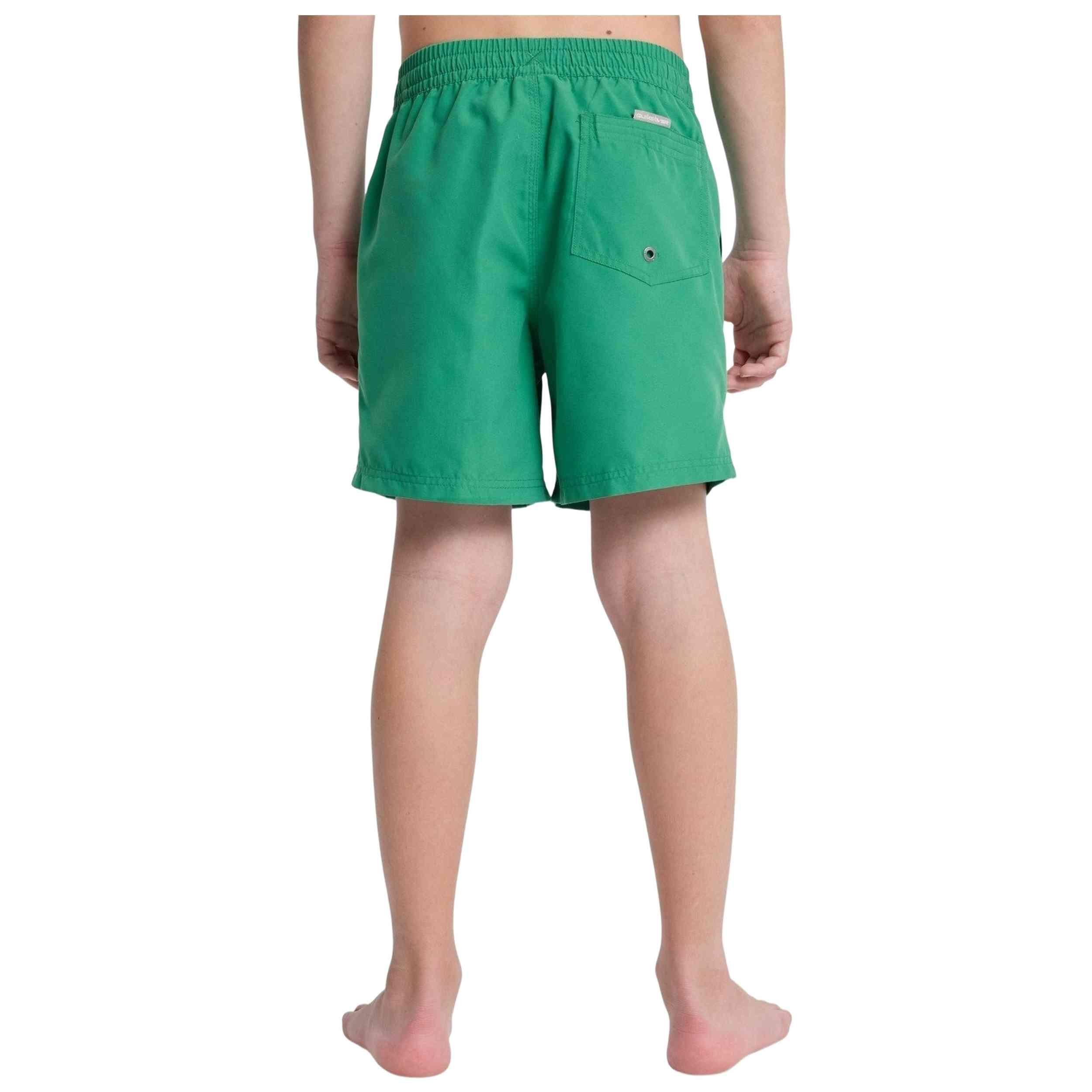 Swimsuit Quiksilver model 3543-GNZ for children 5/5