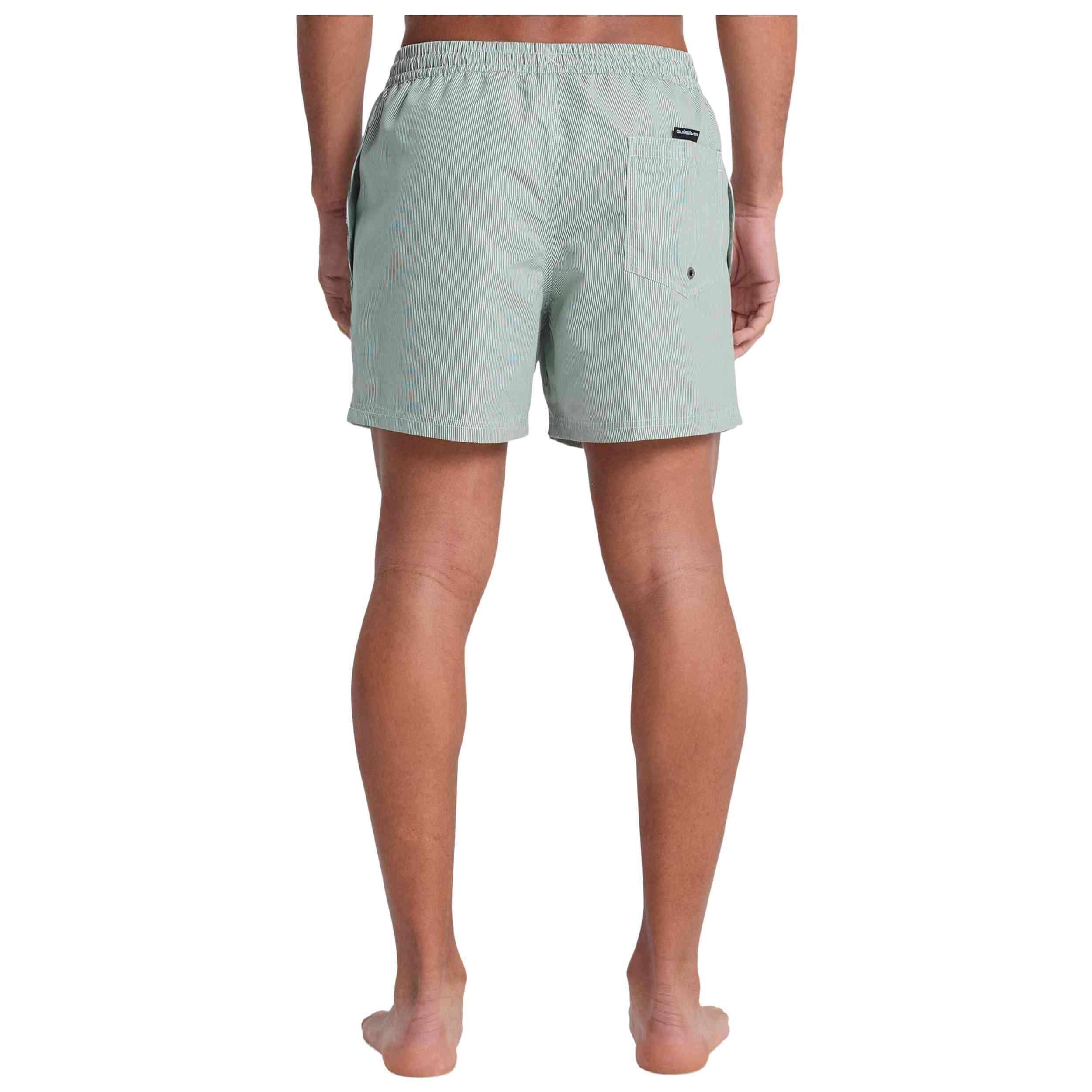 Costume da bagno Quiksilver modello Bañador Quiksilver Everyday Delux per uomini 5/5