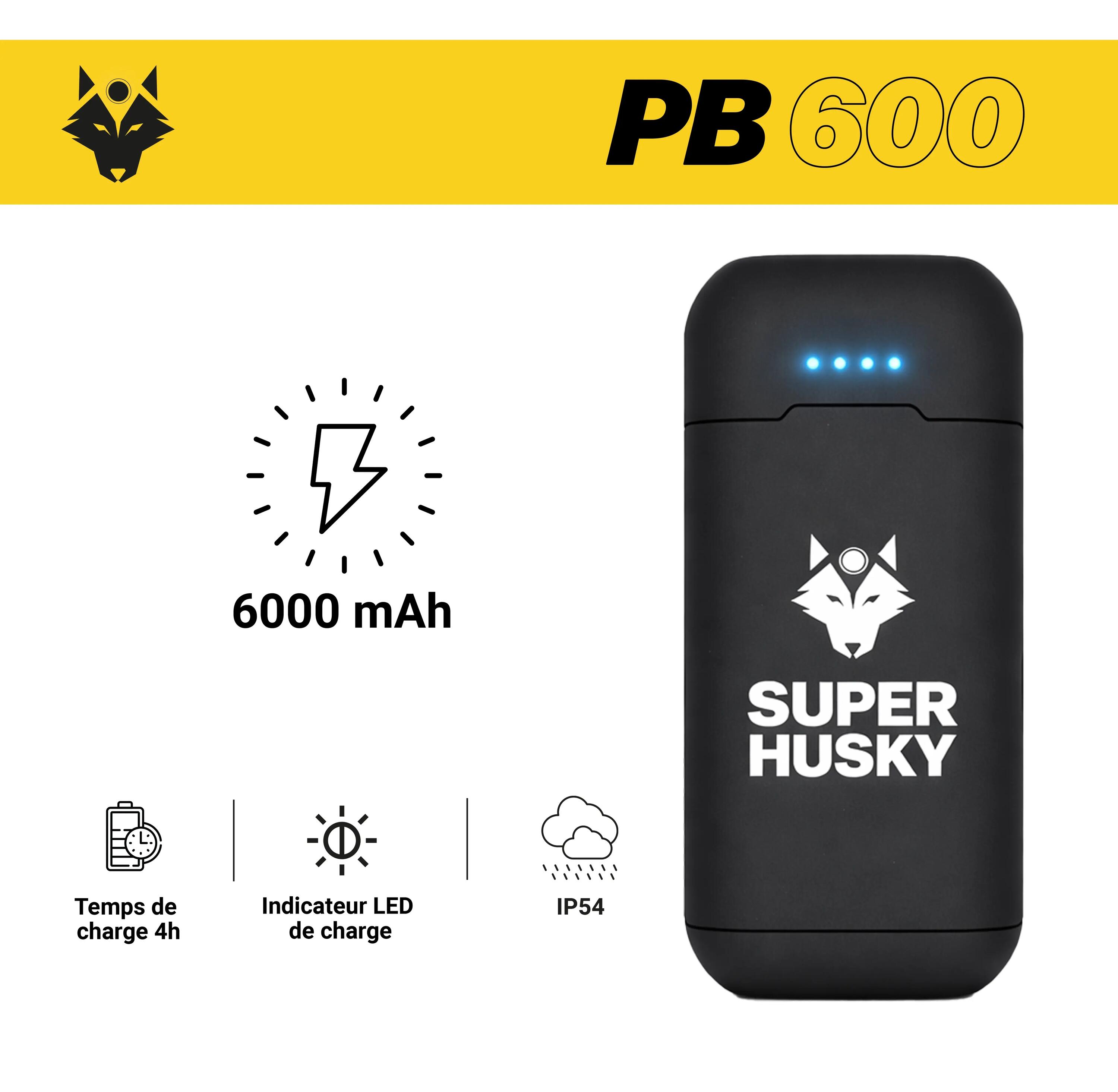 Batterie externe 6000 mAh PB600 2/9