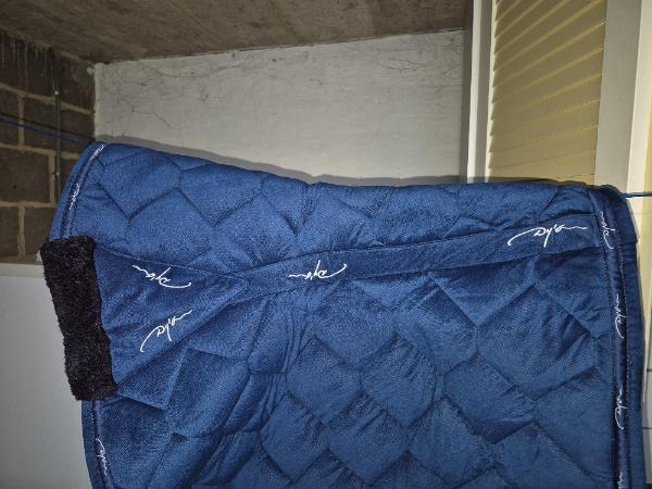 Entre Particuliers - Tapis dressage dyon 3/4