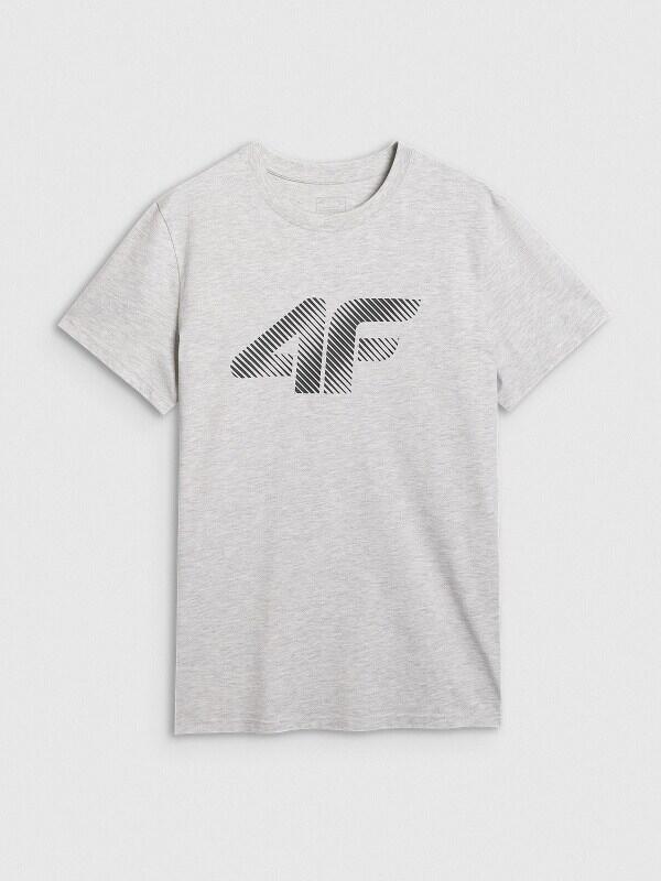 T-shirt regular z nadrukiem męski 4F 4FWMM00TTSHM2257 7/7