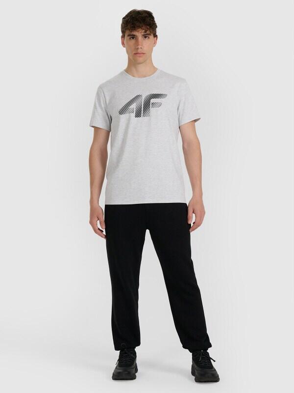 T-shirt regular z nadrukiem męski 4F 4FWMM00TTSHM2257 5/7