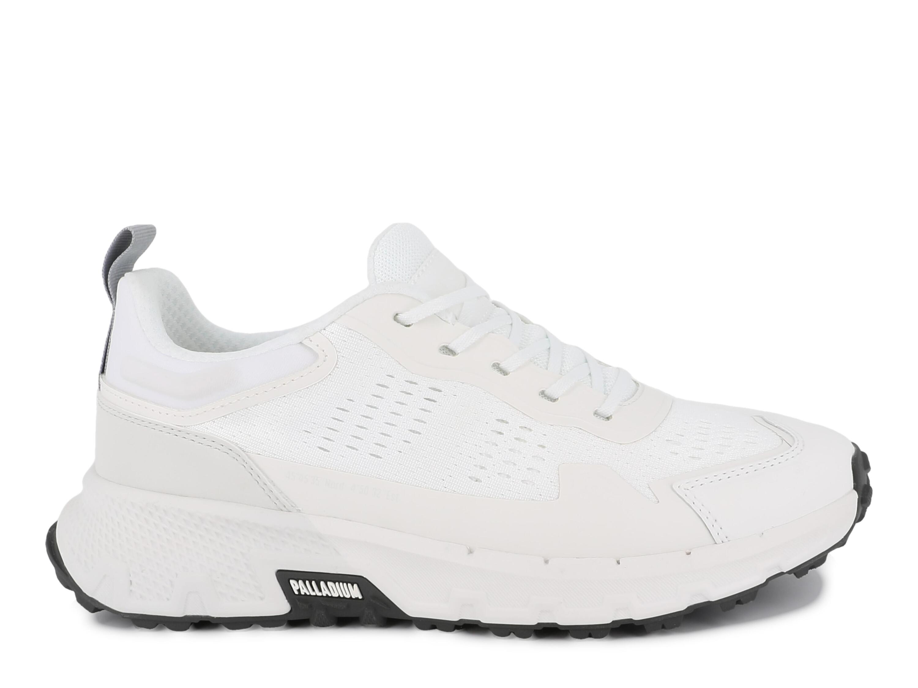PALLADIUM picture