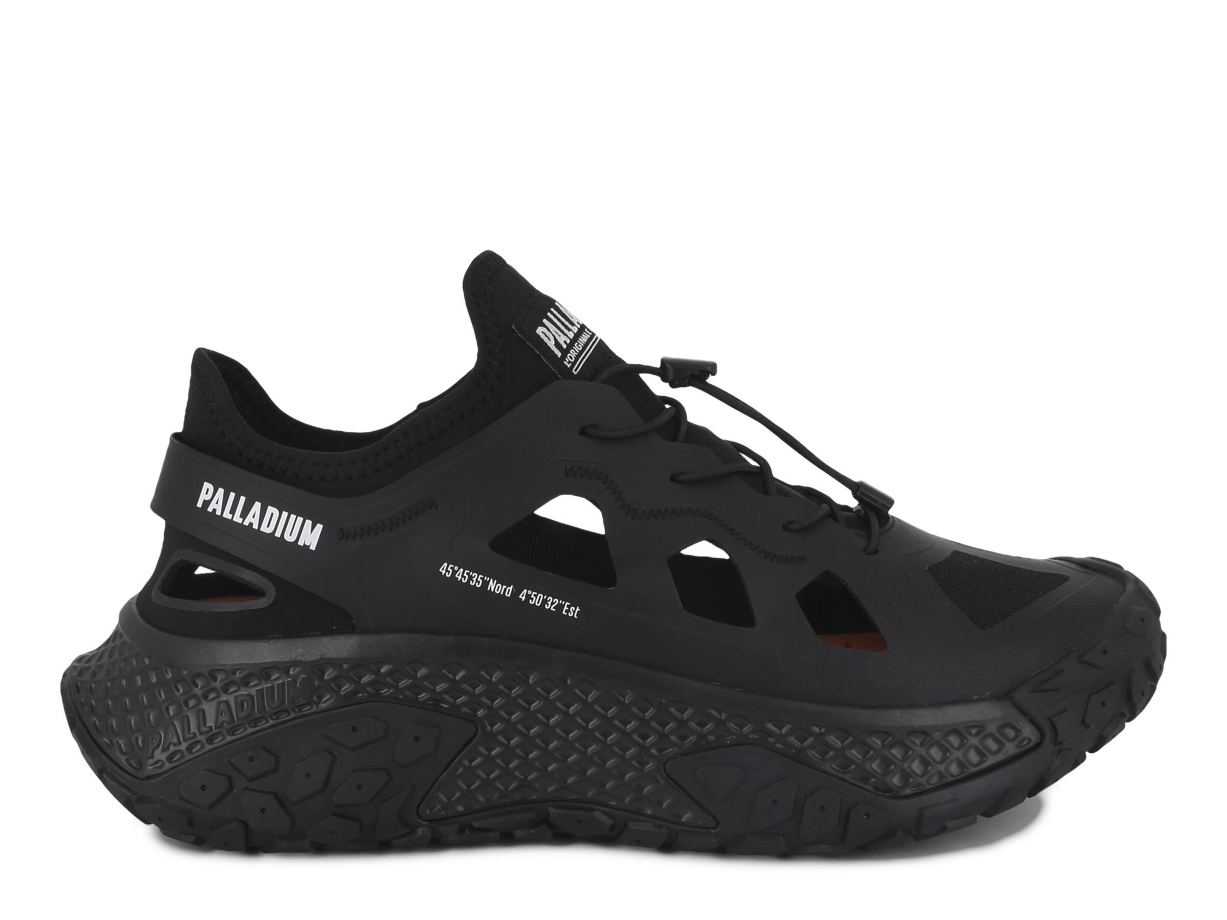 PALLADIUM picture