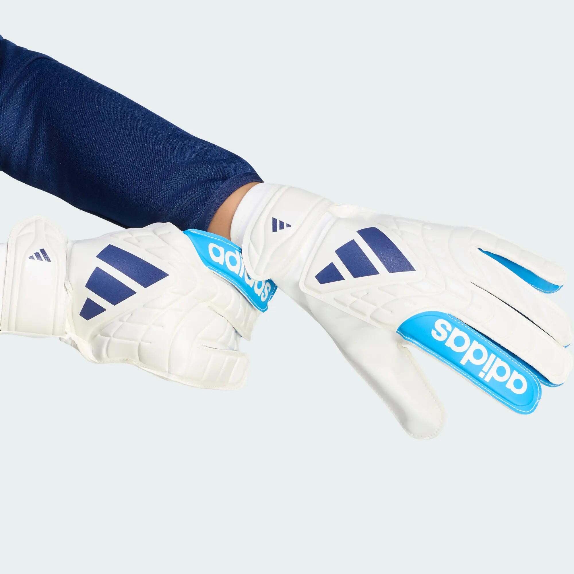 ADIDAS picture
