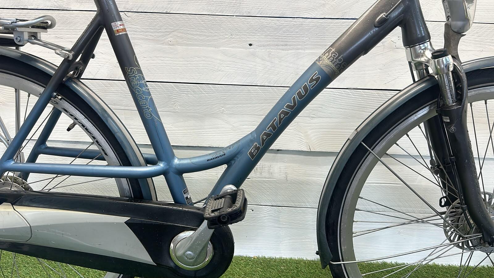 BATAVUS picture