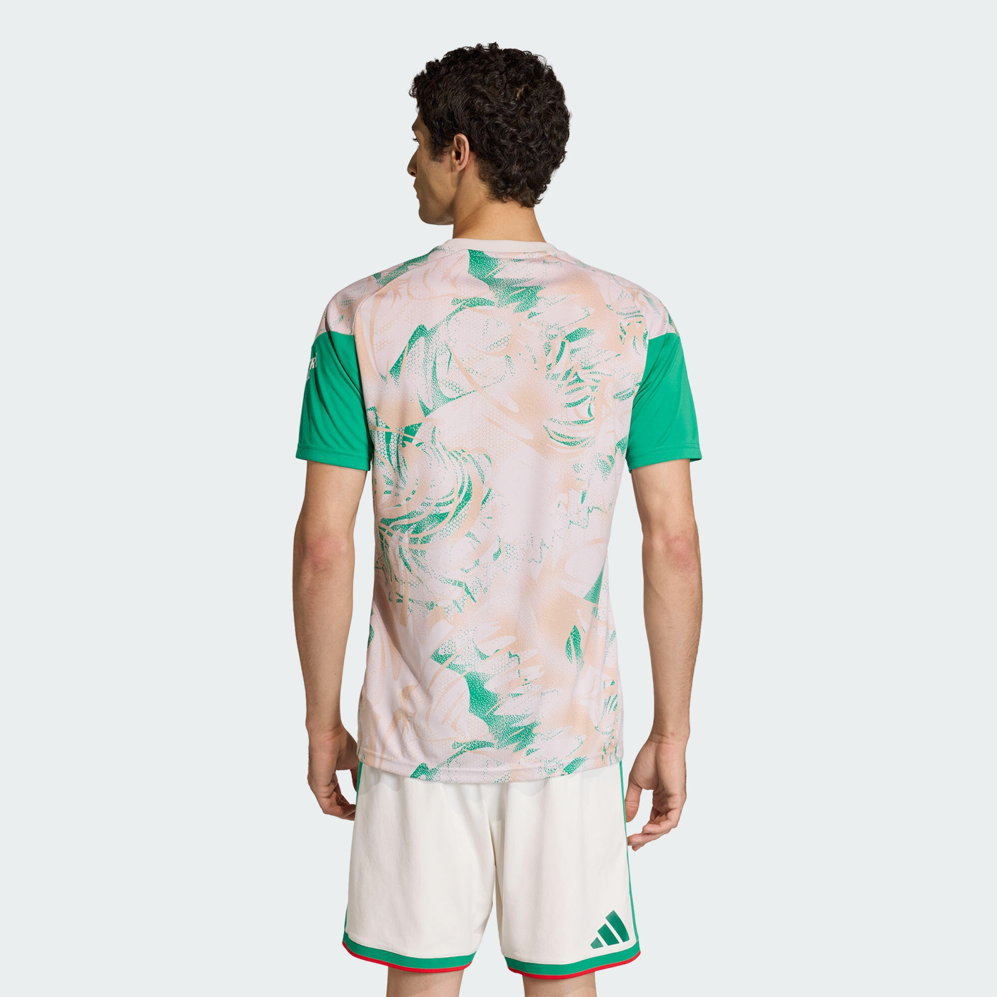 Camisola de Aquecimento Alternativa 26 da Argélia 3/6