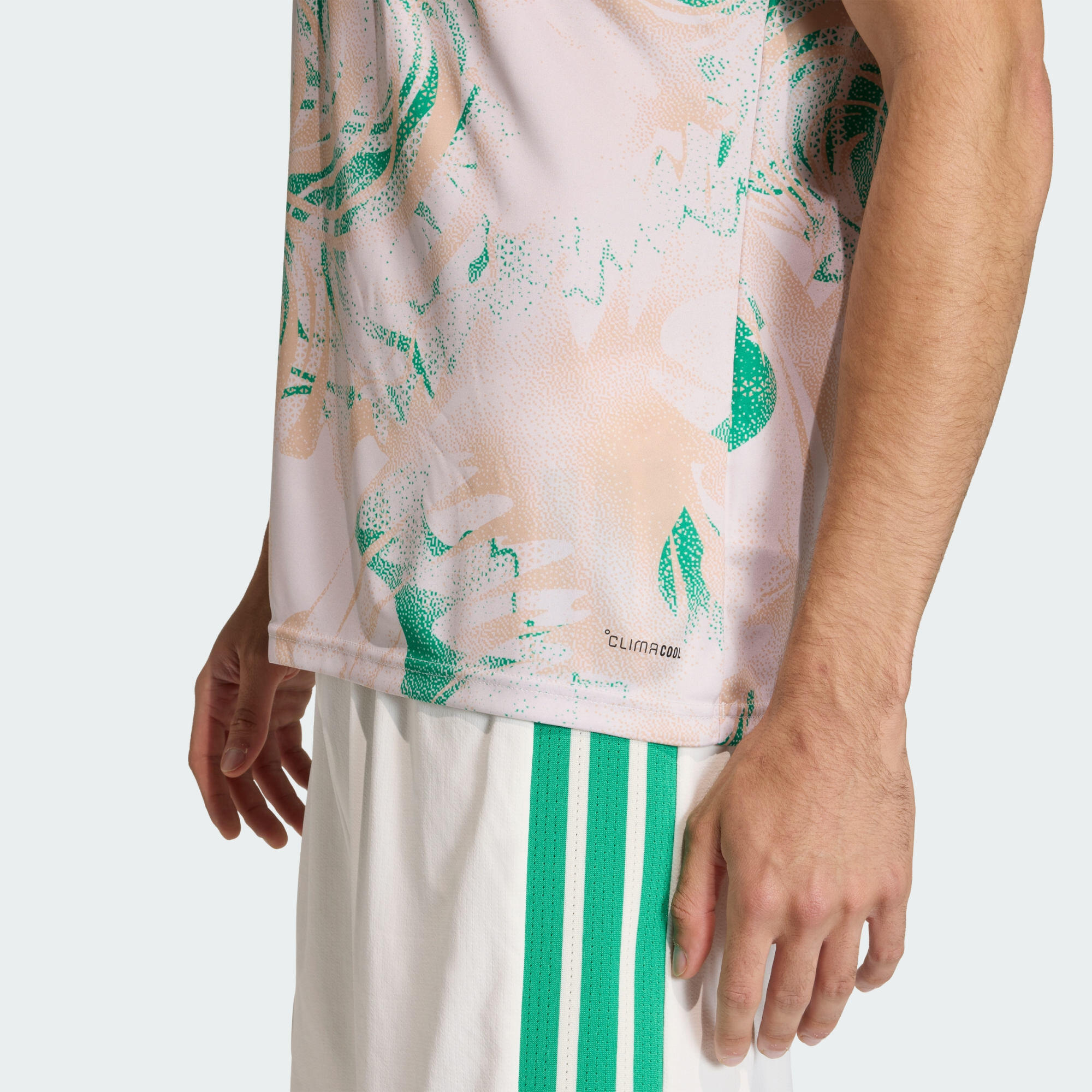 Camisola de Aquecimento Alternativa 26 da Argélia 5/6