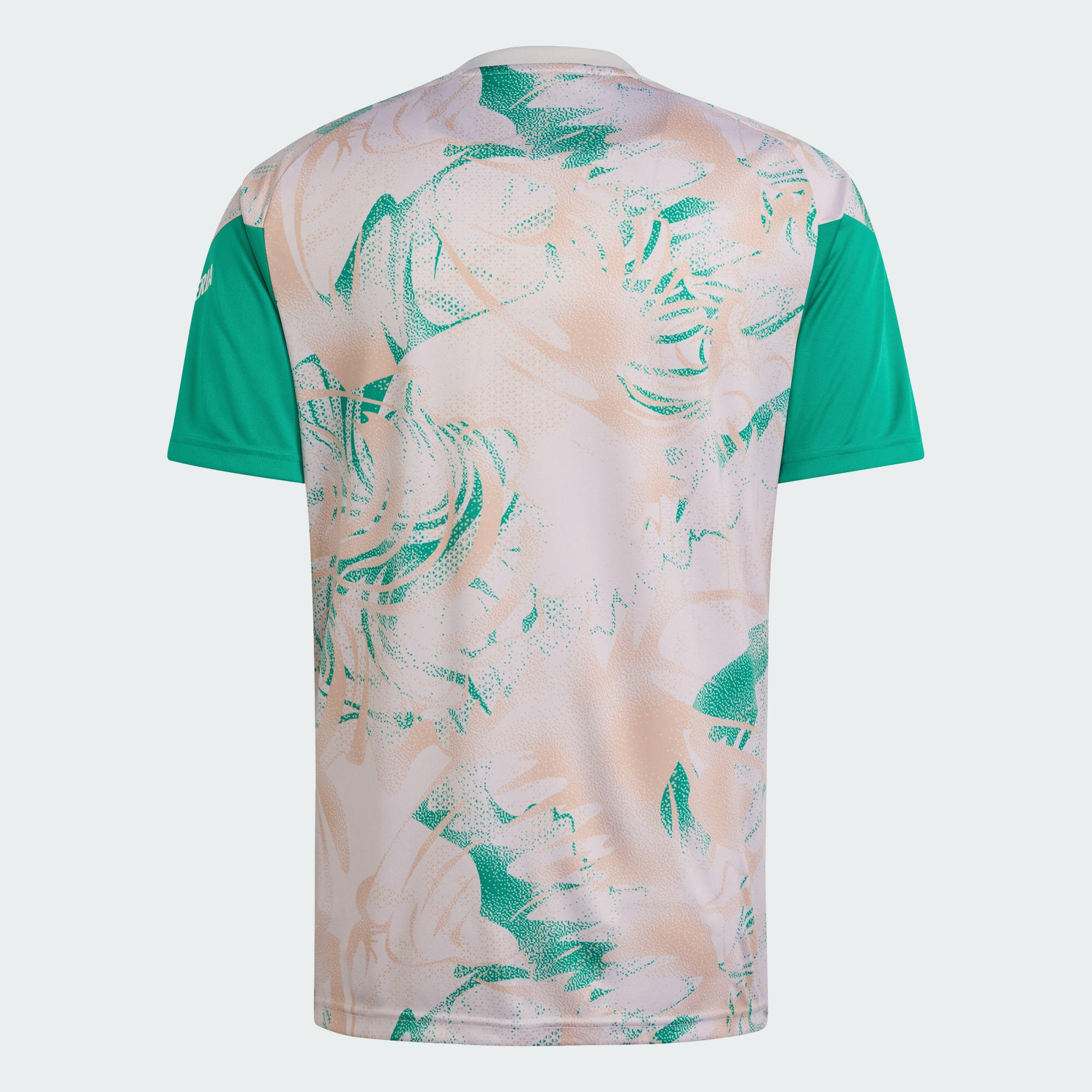 Algeria 26 Away Pre-Match Jersey 6/6