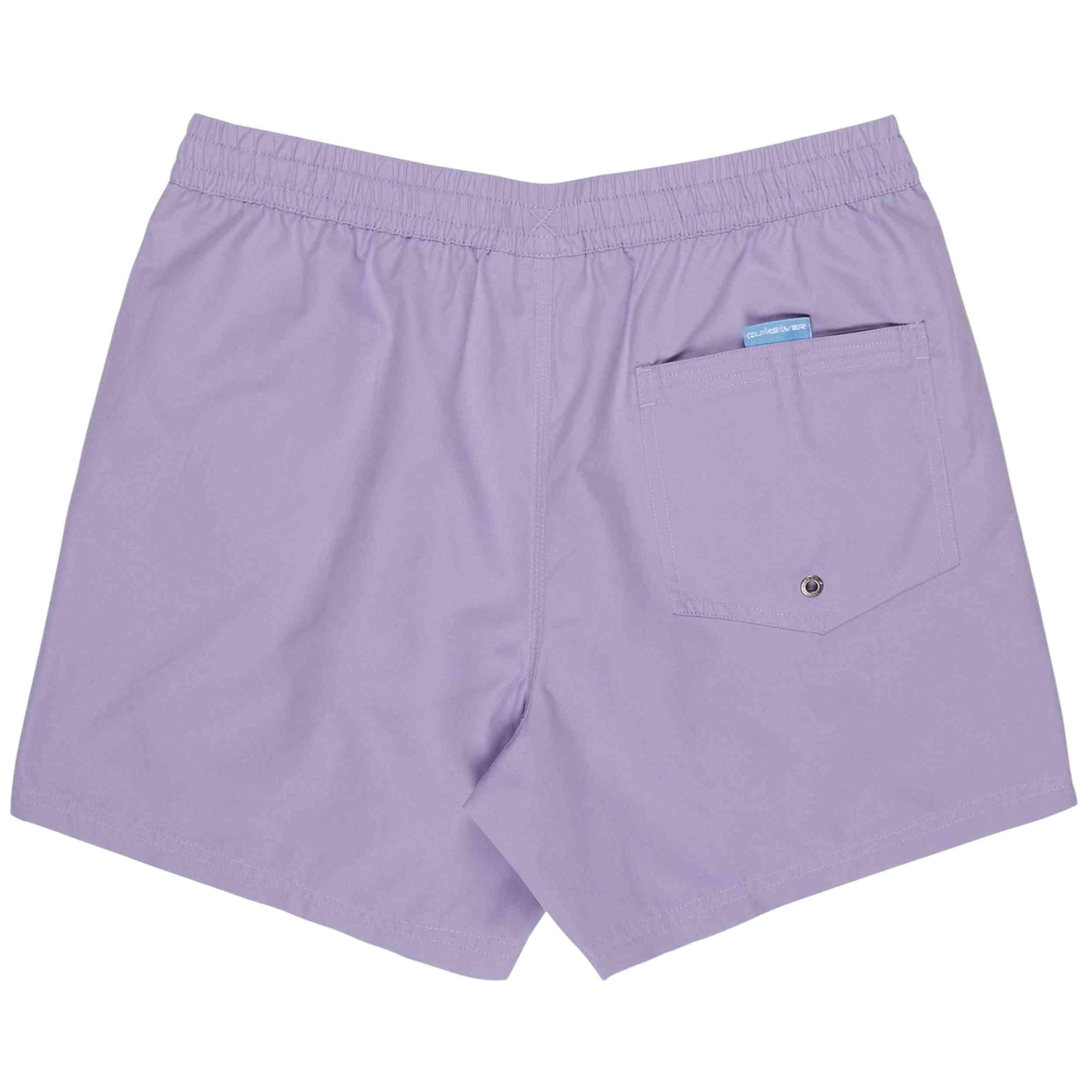 Short de natación EVERYDAY SOLID VOLLEY 15" Morado Hombre 5/5
