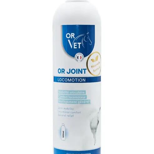 OR JOINT