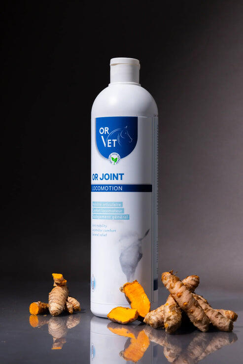 OR JOINT 2/3