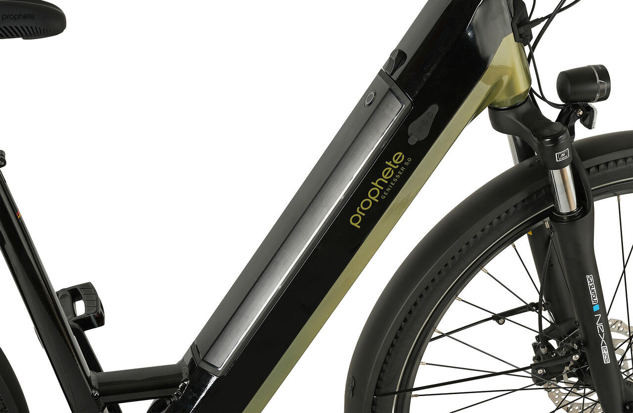 Prophete E-Bike Geniesser 6.0 28" Wave RH48 3/6