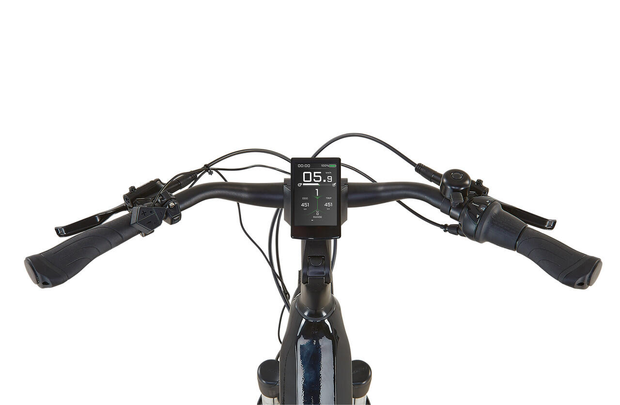 Prophete E-Bike Geniesser 6.0 28" Wave RH48 5/6