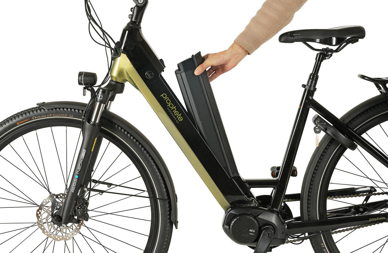 Prophete E-Bike Geniesser 6.0 28" Wave RH48 4/6