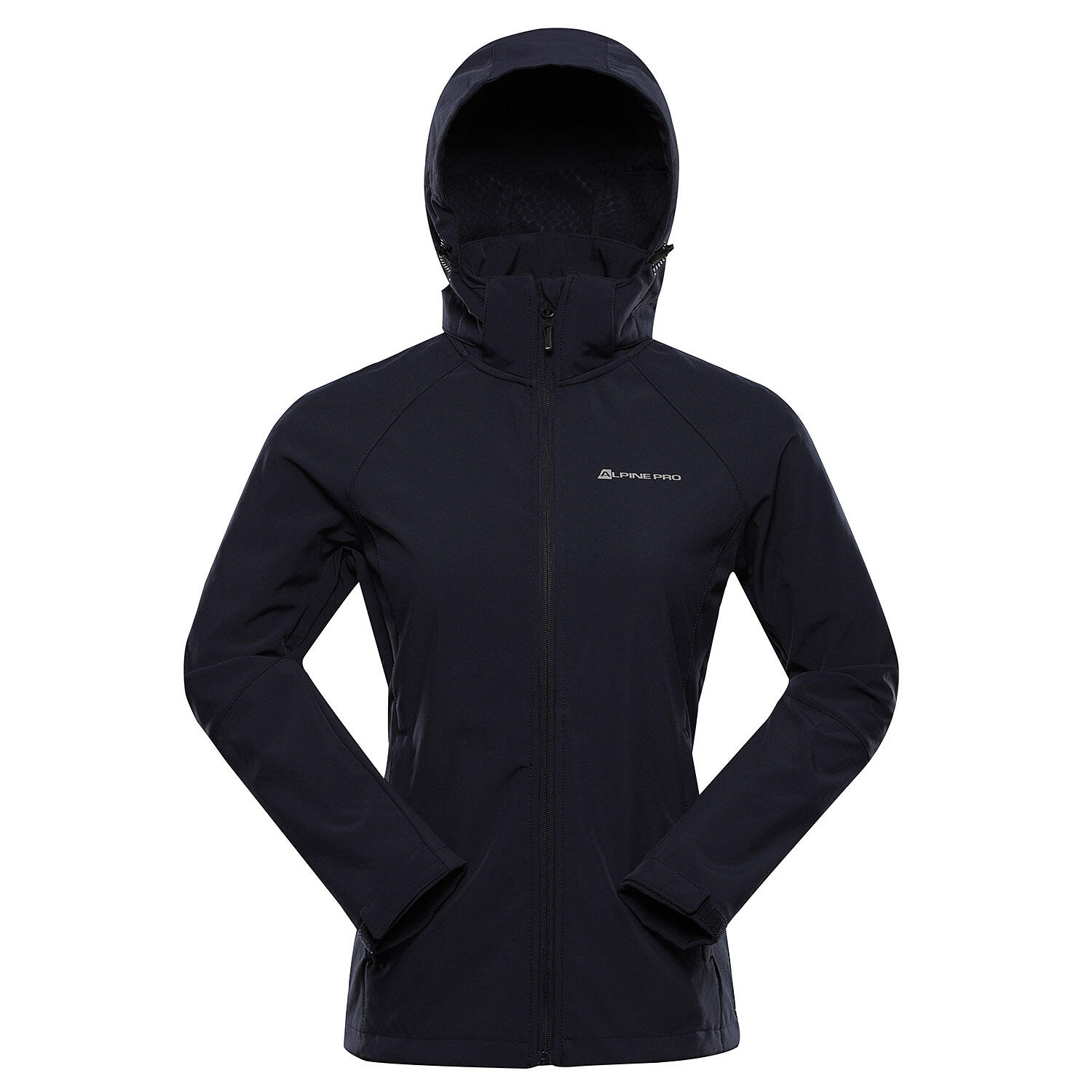 ALPINE PRO picture