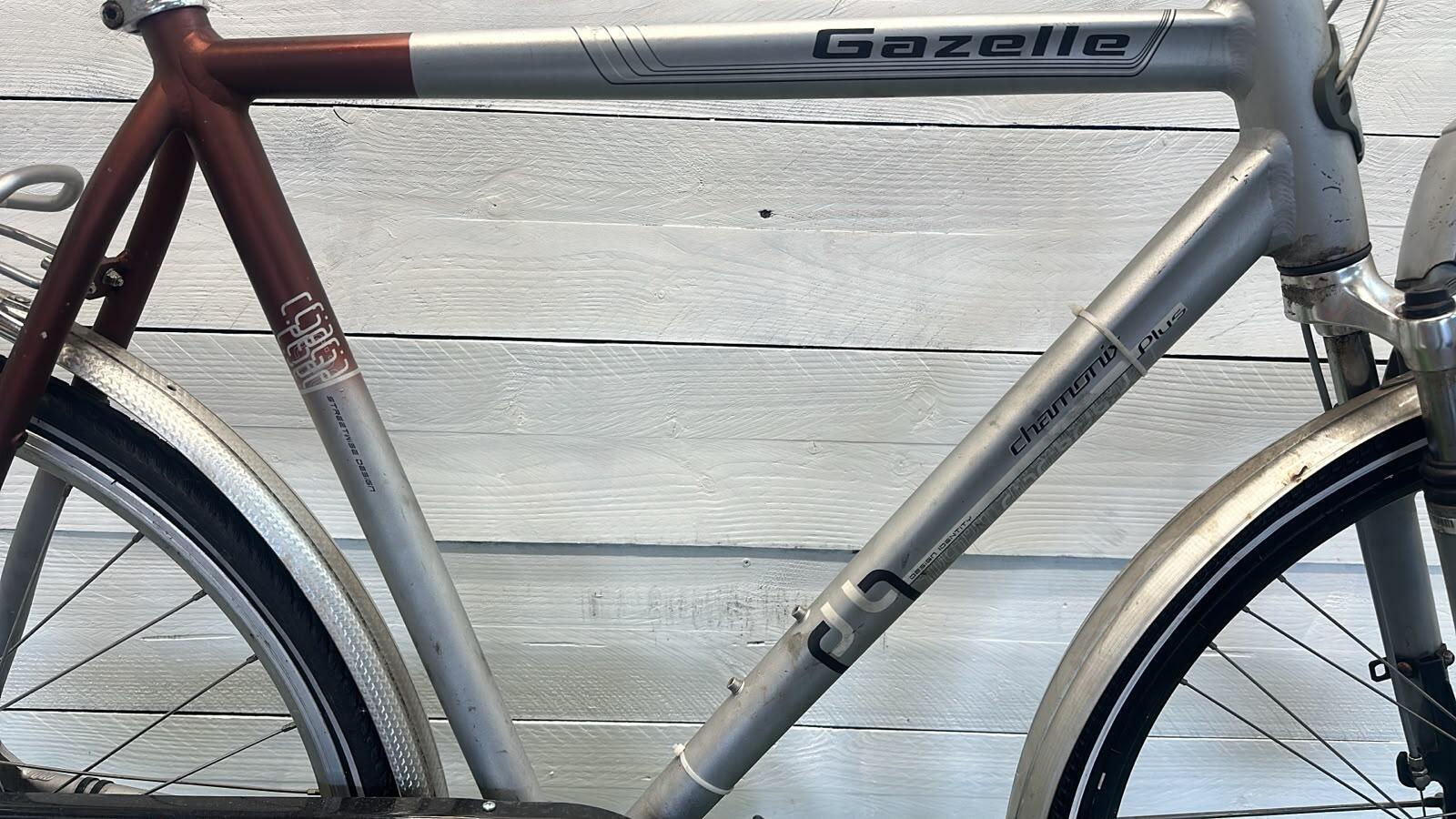 GAZELLE picture