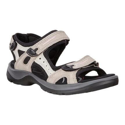 Buty do chodzenia damskie Ecco 06956354695