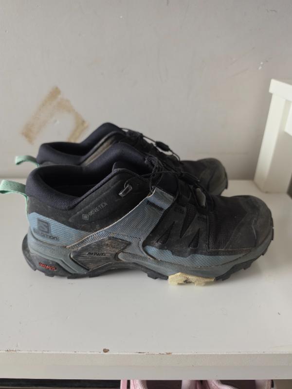 SALOMON picture