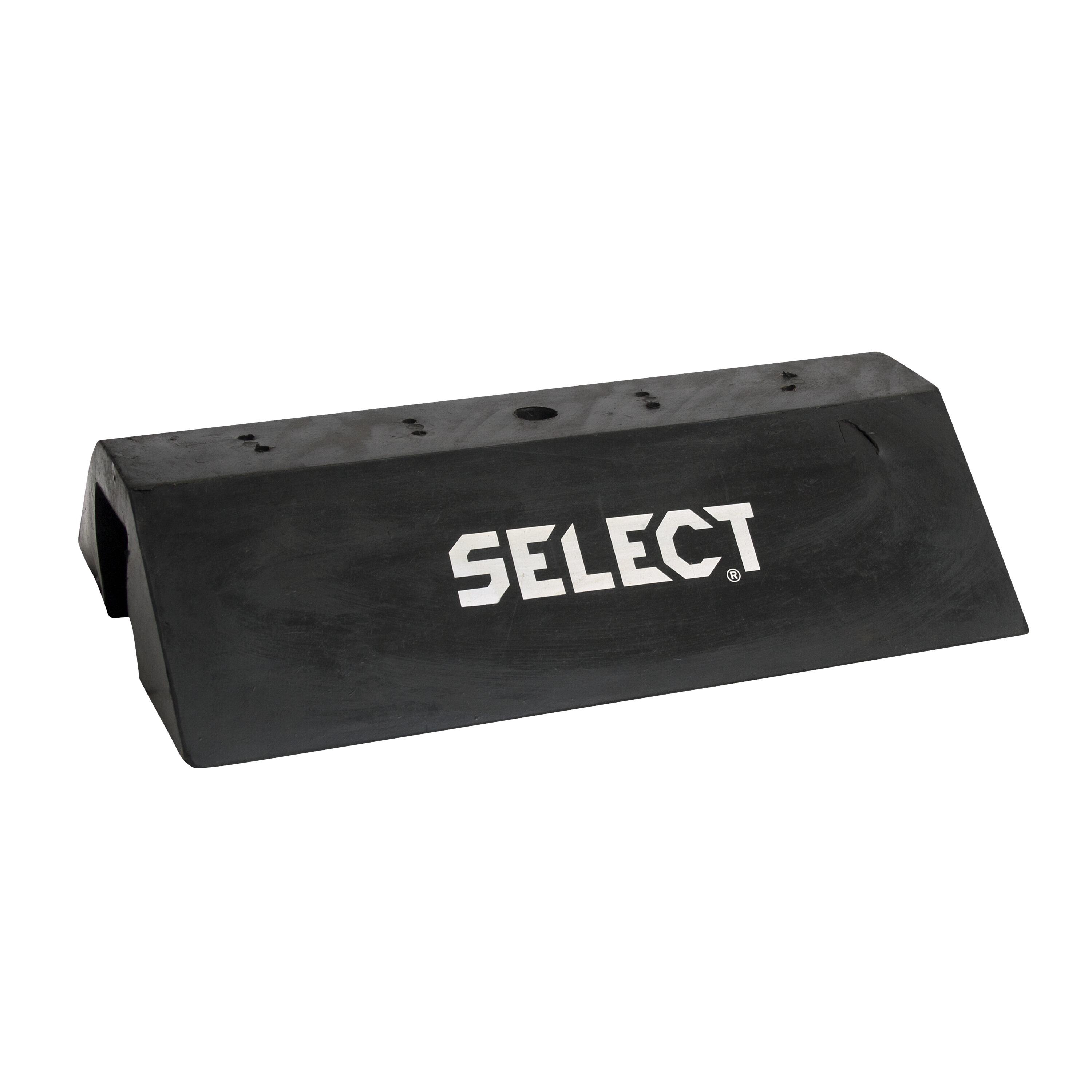 SELECT picture