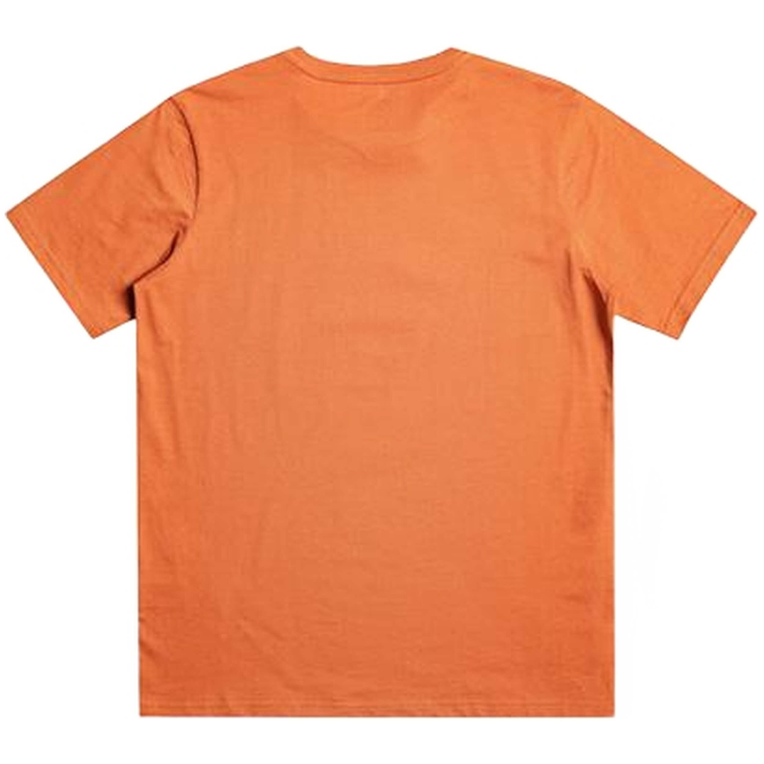 T-shirt Quiksilver modèle EQBZT04592-CMS0 pour enfants 4/4