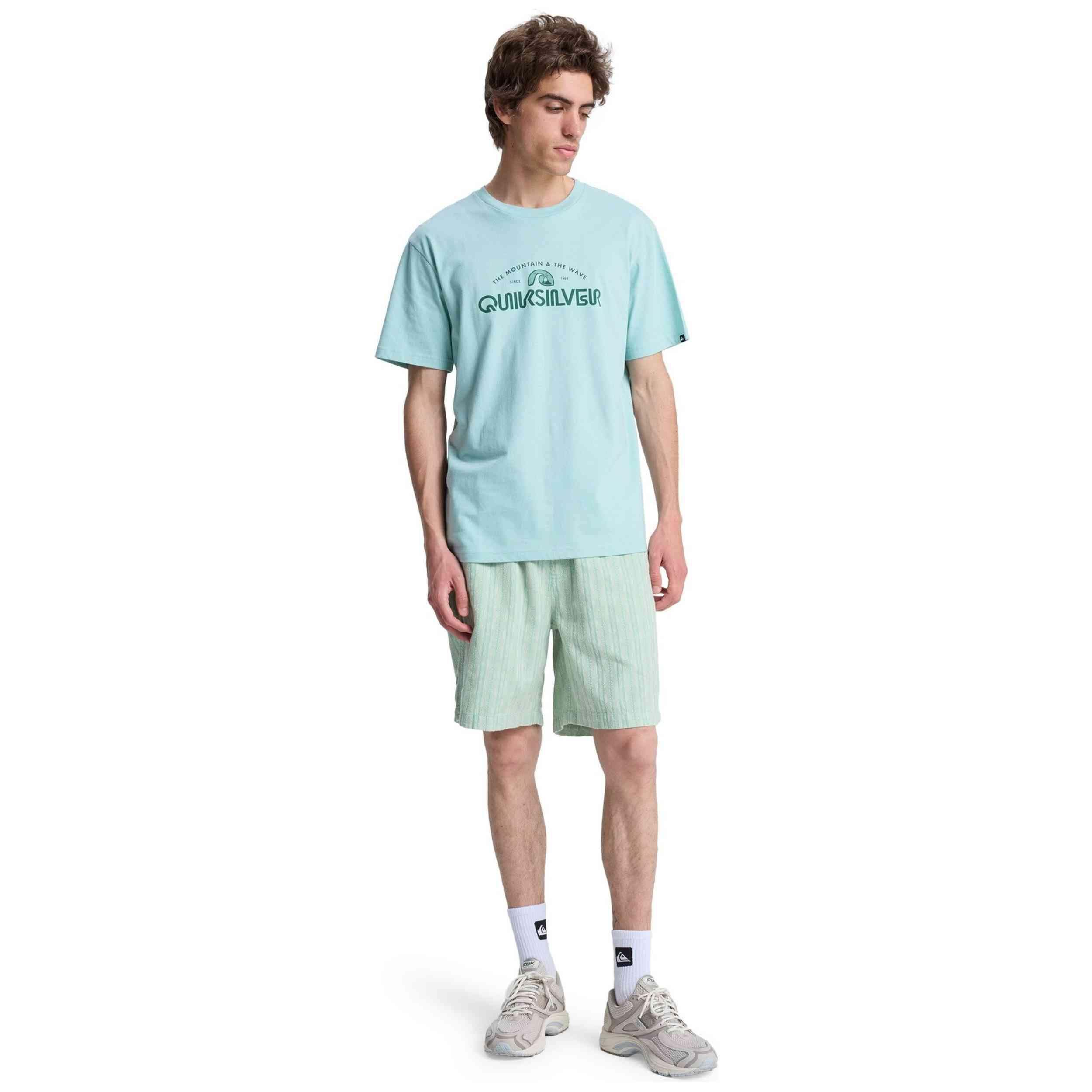 T-shirt Quiksilver modelo EV VISTA (BGA0) para homem 5/5