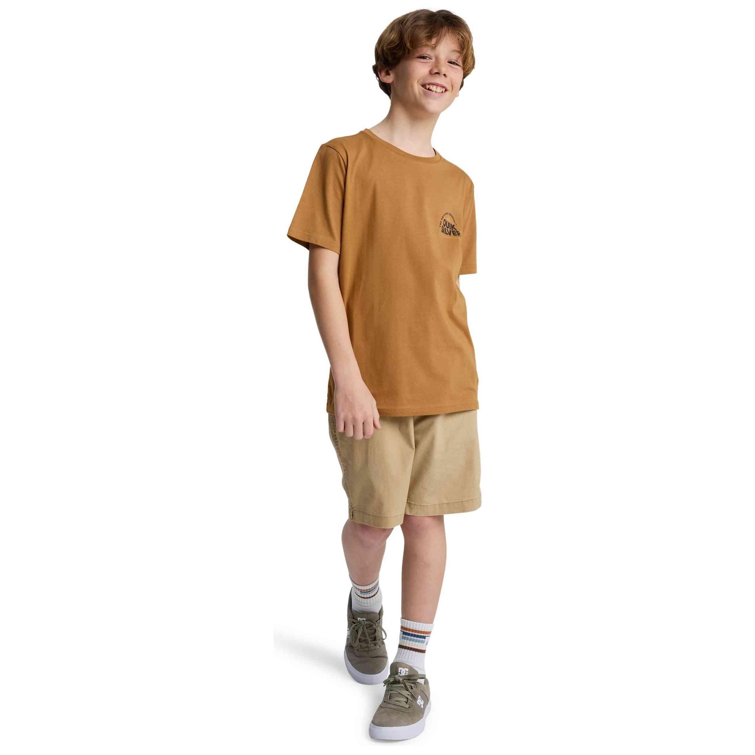 Maglia a maniche corte Quiksilver modello 077-53345381581139 per ragazzi 5/5