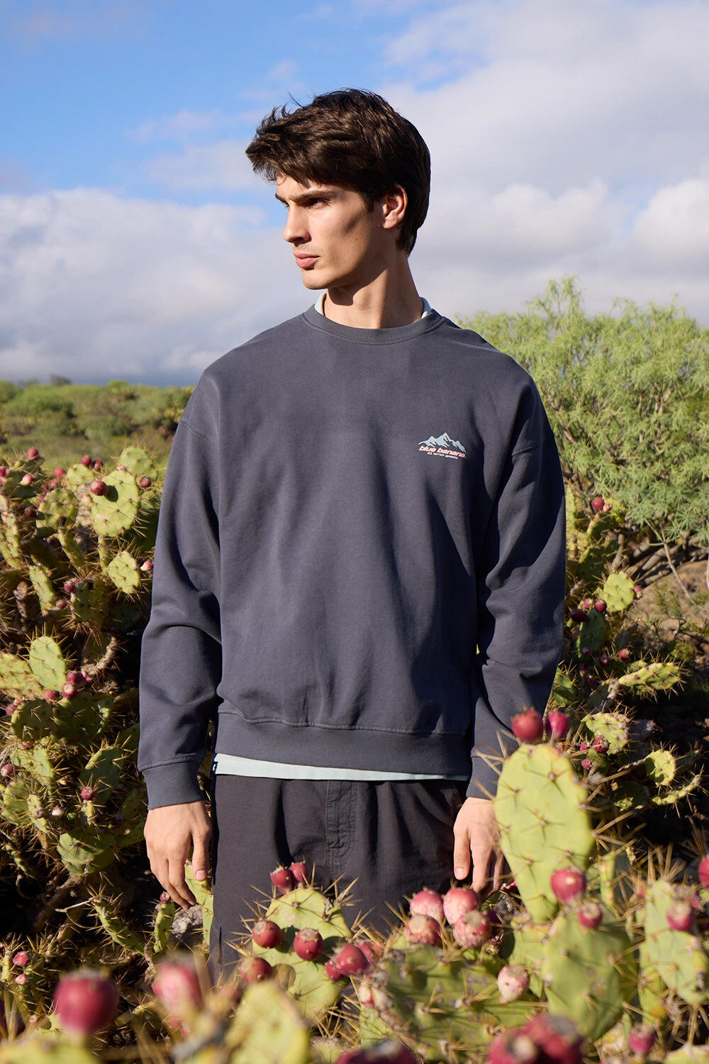 Sudadera Blue Banana Antracita de Algodón 100% Orgánico 7/7