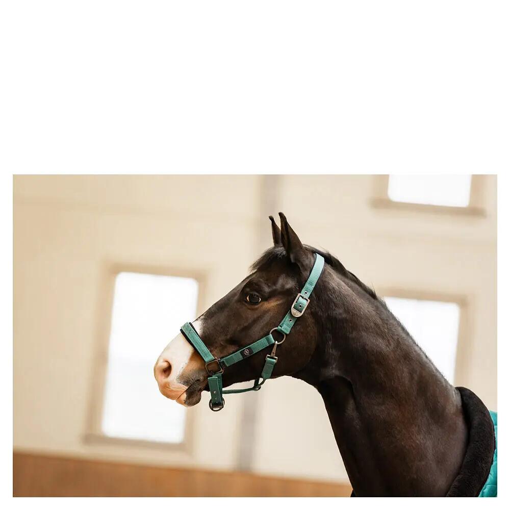Kantar dla koni BR Equitation CLX 4/5