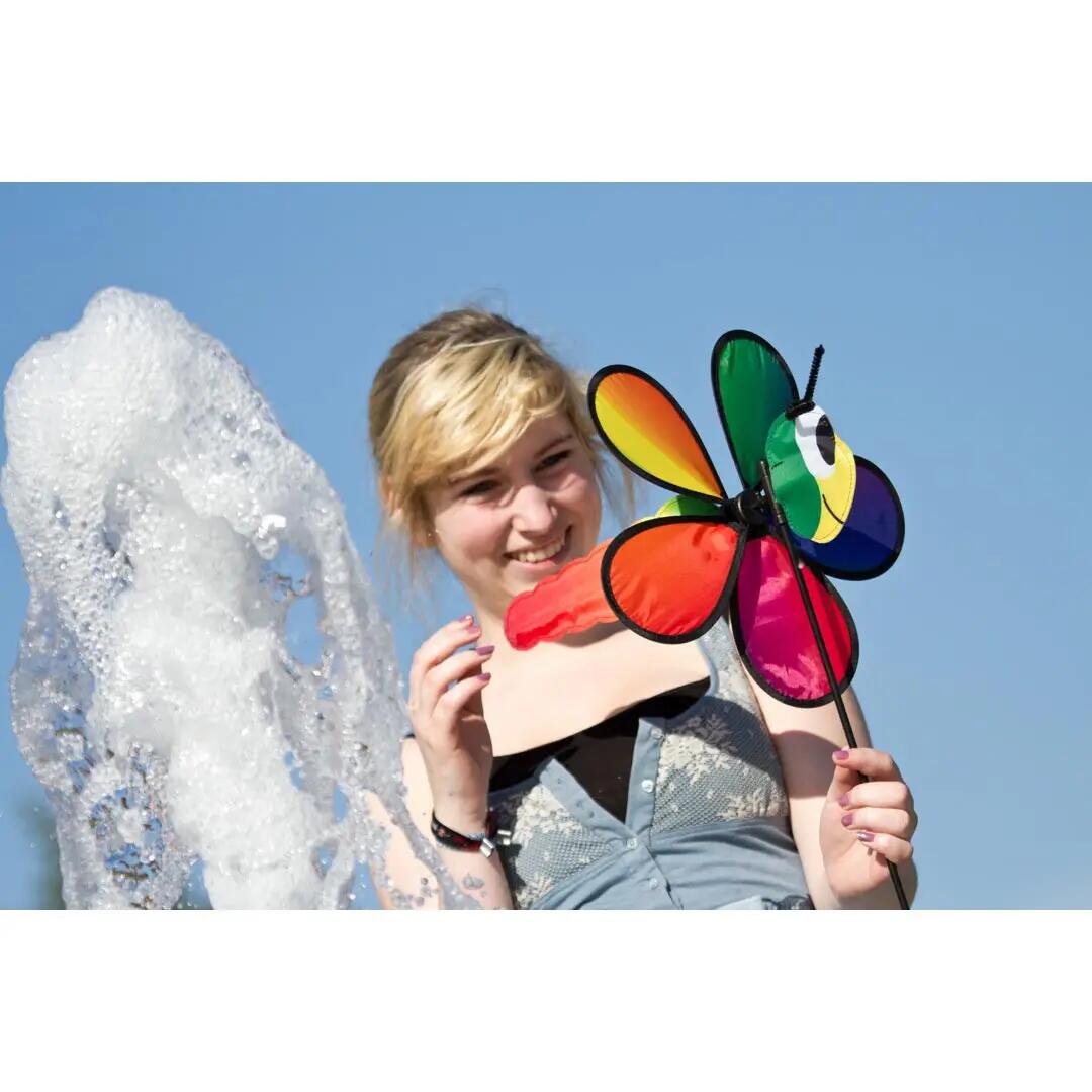 Wetterfahne HQ-Invento Dragonfly 5/6