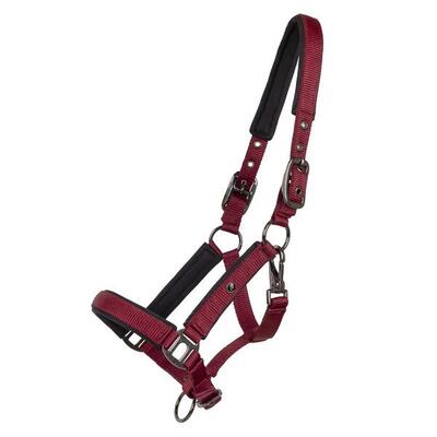 Halster voor paarden qhp deluxe