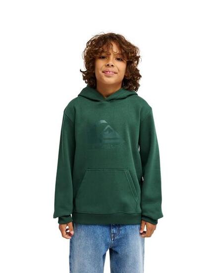 Sweat à capuche COMP LOGO Vert Garçon
