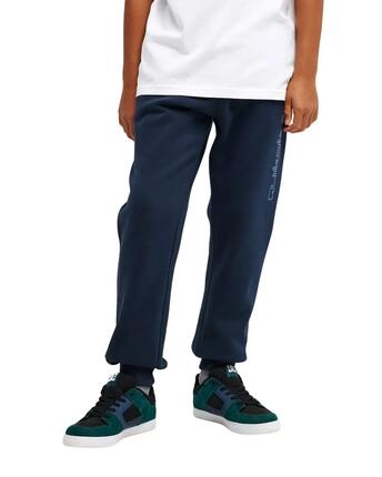 Pantalon de jogging SLIM Gris Garçon
