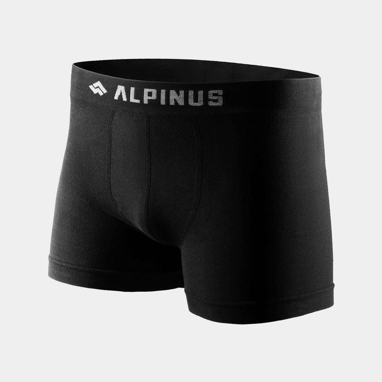 ALPINUS picture
