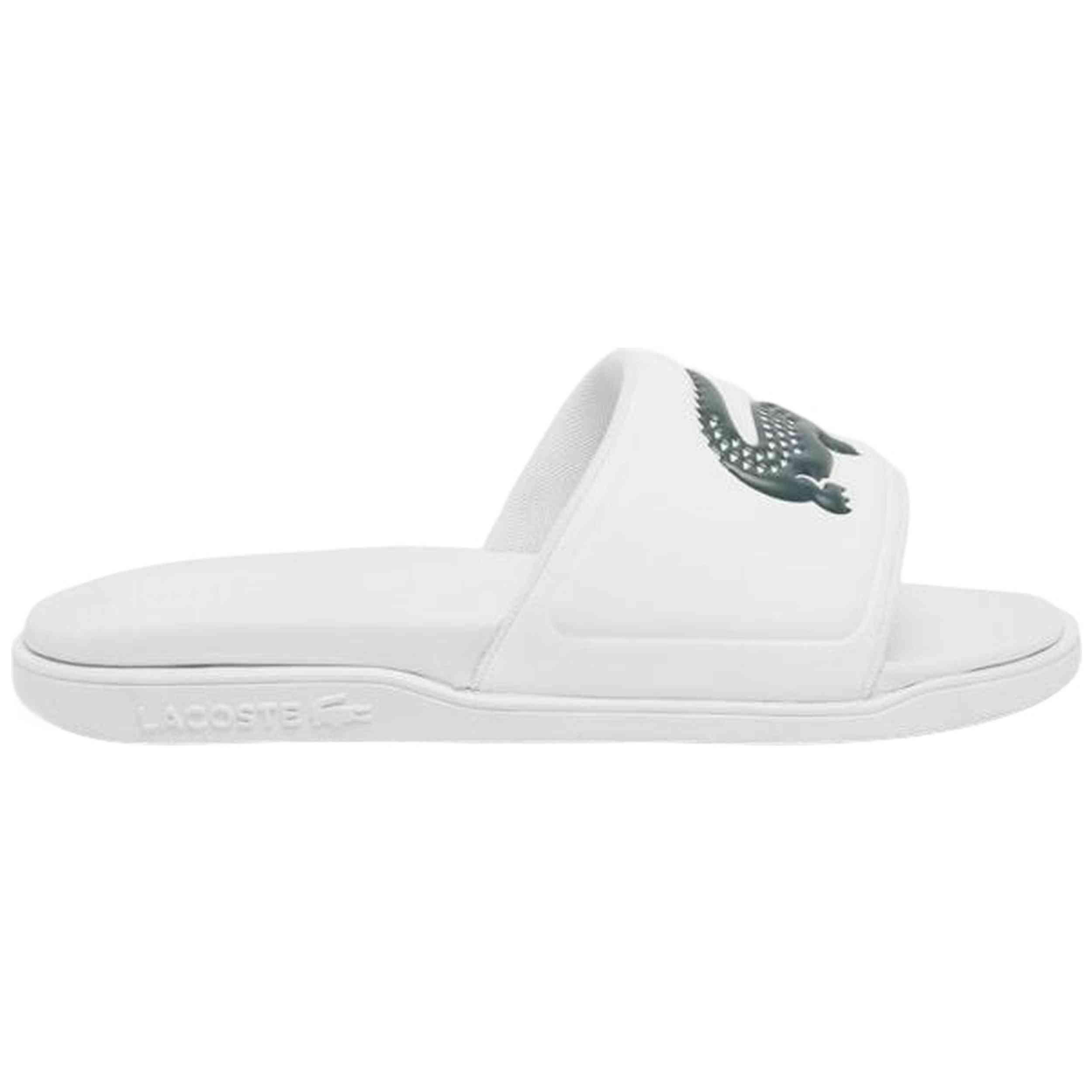 LACOSTE picture