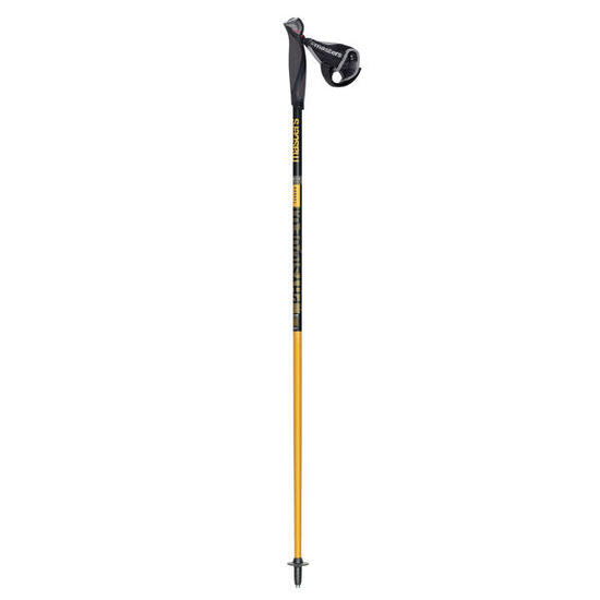 Kije Nordic Walking Masters PHYSIQUE 0.1 CARBON 135 cm