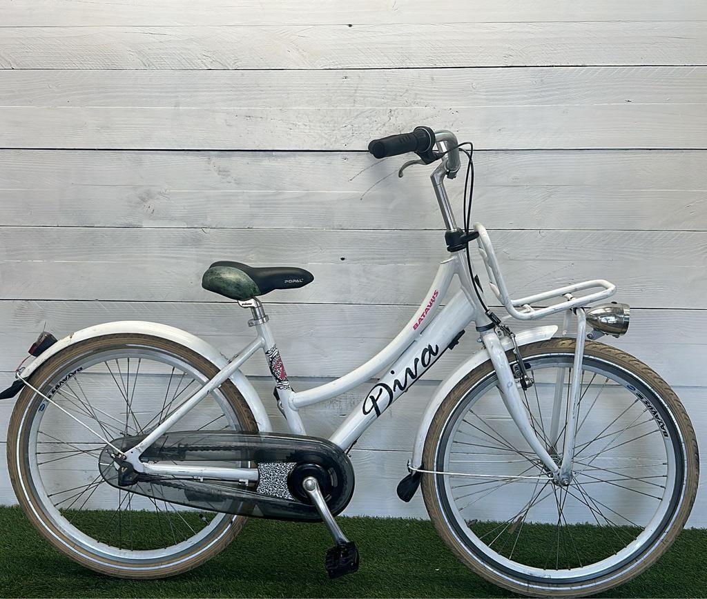 BATAVUS picture