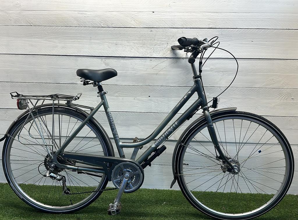 MULTICYCLE picture