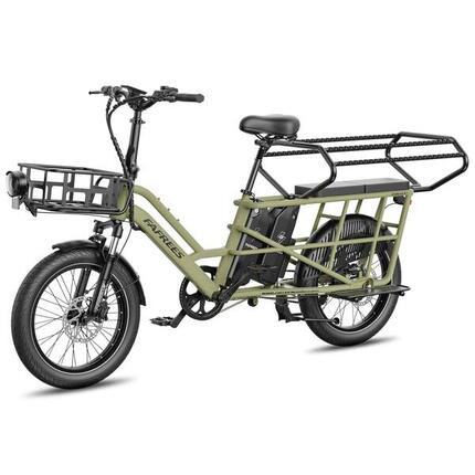 FAFREES FF20 CUV Elektrische Fiets 250W 48V 24Ah 20" Groente